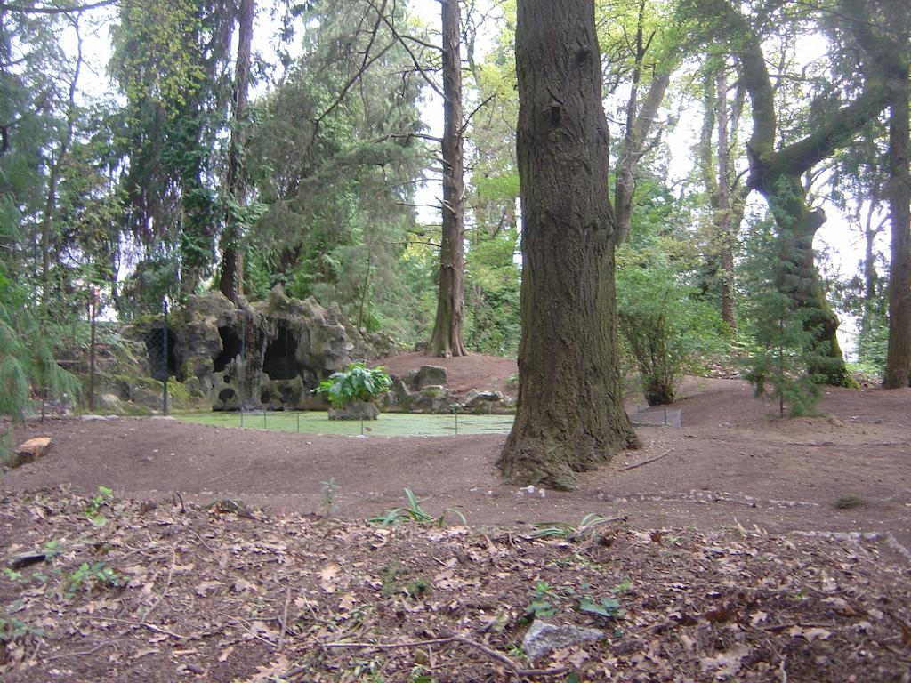 Casa Da Espinhosa Bed & Breakfast Guimarães Dış mekan fotoğraf