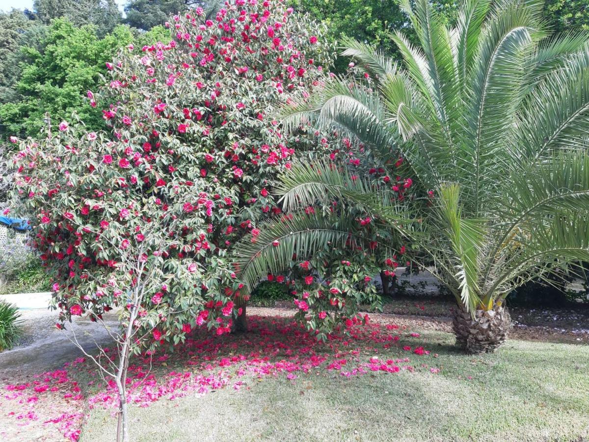 Casa Da Espinhosa Bed & Breakfast Guimarães Dış mekan fotoğraf